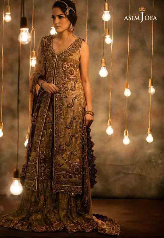 Pakistani Bridal Long Tail Maxi Dress ...