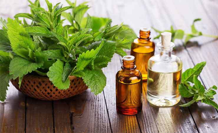 Pakistani home remedies for acne by tea tree oil