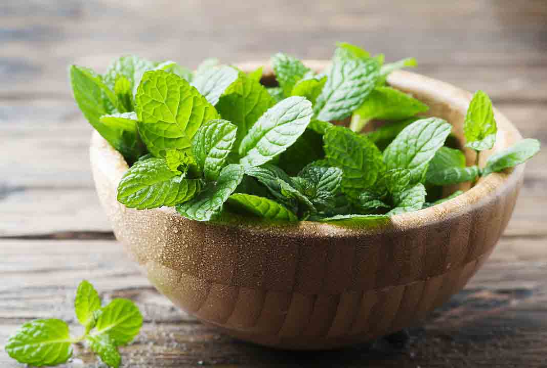 Pakistani home remedies for pimples by mint paste